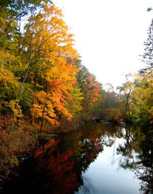 如何拍摄美丽的秋日景色 - 暮雨晨听 - 暮雨晨听