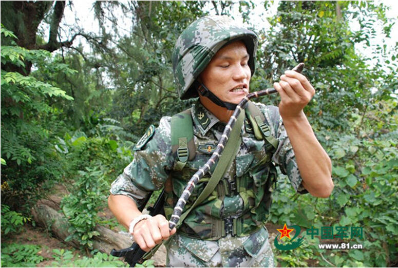 组图:解放军两栖侦察兵生存训练中生吃蛇胆
