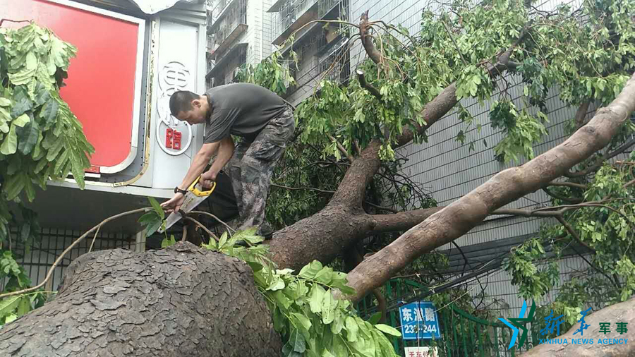 ↑福建厦门警备区官兵在厦门东浦路清理倒伏树木。宋水生 摄