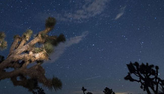 Perseids meteor shower seen in sky