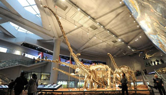 New venue of Chongqing Museum of Natural History opens to public
