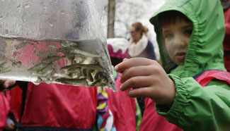 People release juvenile salmon into waterway in Burnaby, Canada