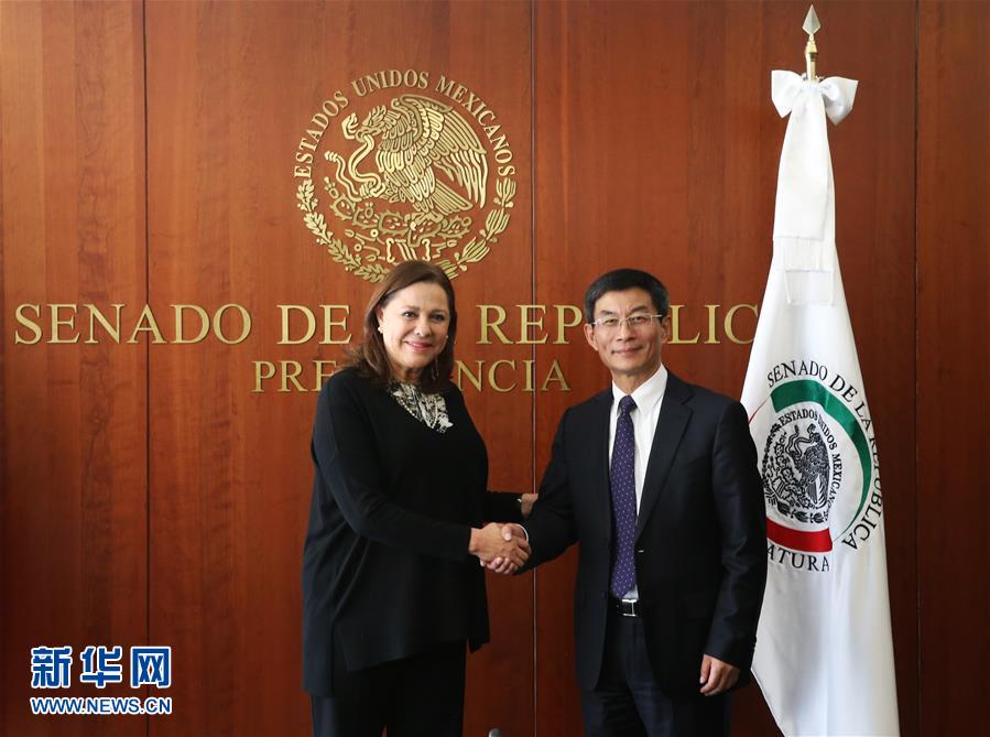 （XHDW·图文互动）墨西哥参议院第一副参议长：中国的发展将使世界更加美好