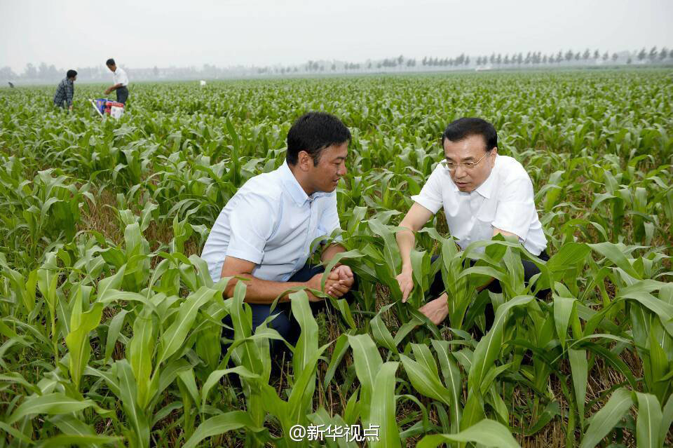 李克强山东考察:农业合作要充分尊重农民意愿