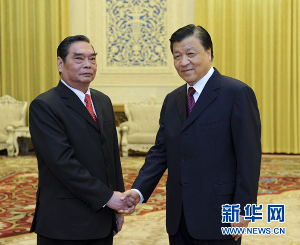 刘云山与越共中央总书记特使举行会谈。新华社记者 张铎 摄