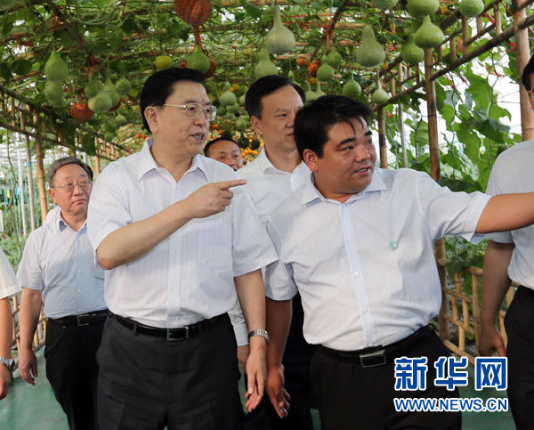 这是9月10日，张德江走进毕节双堰村蔬菜水果大棚，了解该村扶贫开发及生态建设进展情况。 新华社记者刘卫兵摄