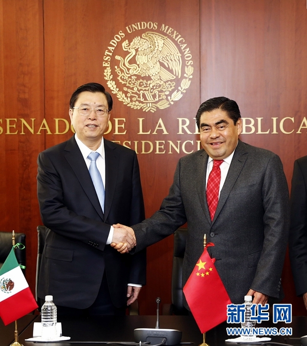 11月26日，正在墨西哥进行正式友好访问的全国人大常委会委员长张德江在墨西哥城与墨西哥参议长巴尔沃萨举行会谈。 新华社记者 鞠鹏摄