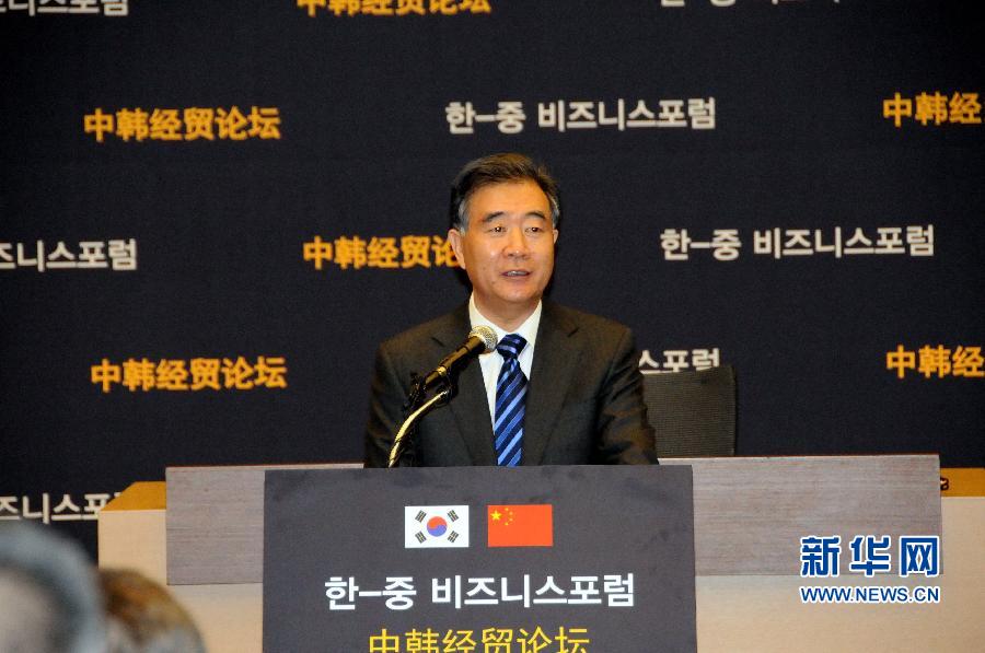1月23日，中国国务院副总理汪洋在韩国首尔出席中韩经贸论坛并发表主旨演讲。 新华社记者 冮冶 摄