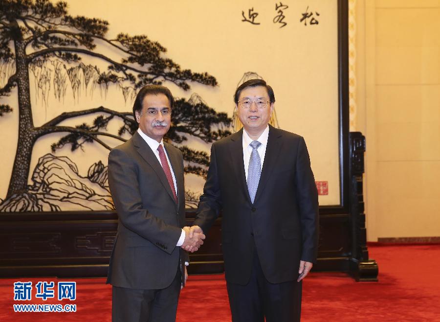 1月29日，全国人大常委会委员长张德江在北京人民大会堂与巴基斯坦国民议会议长萨迪克举行会谈。 新华社记者 丁林 摄