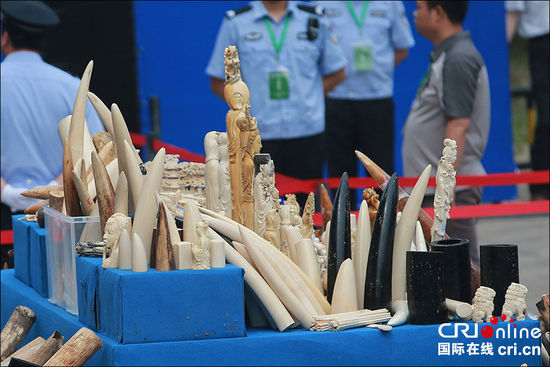 中国公开销毁662公斤非法象牙制品(图)