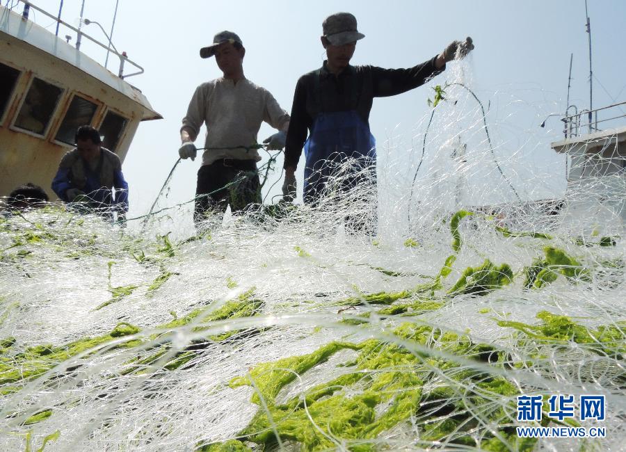 #（生态）（1）6月1日起黄渤海开始伏季休渔 