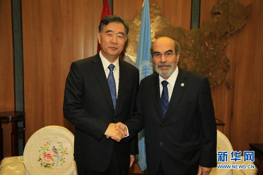 6月7日，在意大利罗马，中国国务院副总理汪洋（左）会见联合国粮农组织总干事格拉齐亚诺。 新华社记者 王星桥 摄