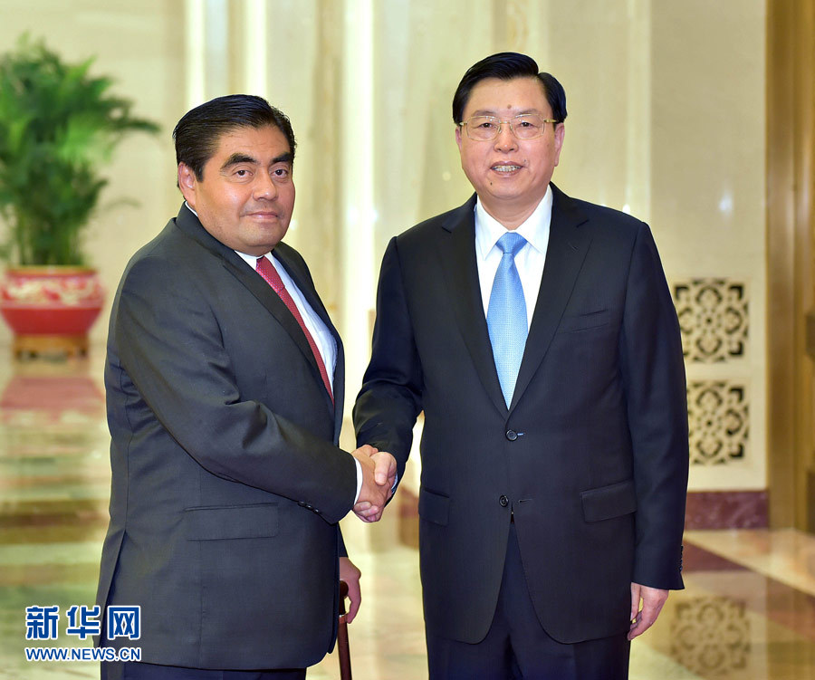  7月6日，全国人大常委会委员长张德江在北京人民大会堂与墨西哥参议长巴尔沃萨举行会谈。 新华社记者李涛摄