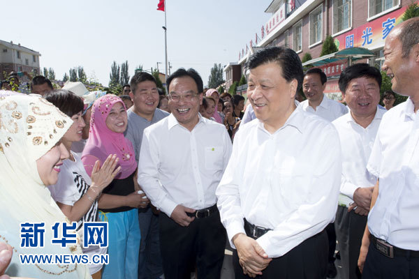 这是7月10日，刘云山在银川市新胜村与群众亲切交谈。新华社记者王晔摄