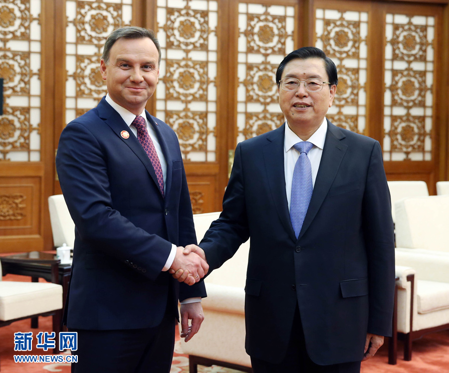 11月26日，全国人大常委会委员长张德江在北京人民大会堂会见波兰总统杜达。 新华社记者 姚大伟 摄 