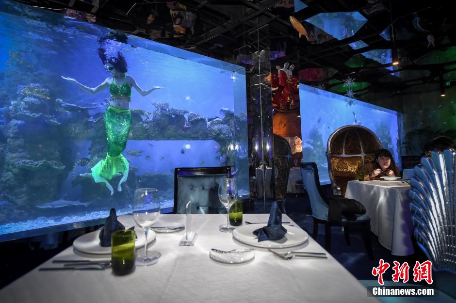 海底餐厅亮相合肥 与“美人鱼”餐前约会