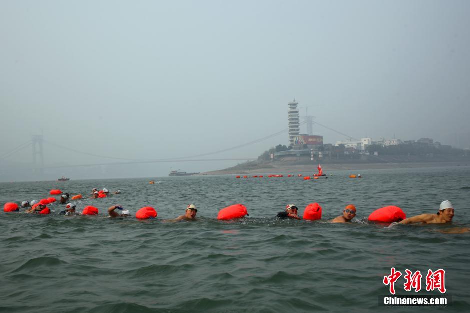湖北宜昌500余名冬泳健儿横渡长江