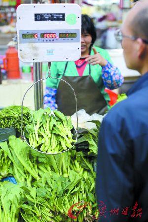 广州本地叶菜价格再攀高峰。广州日报记者王维宣摄