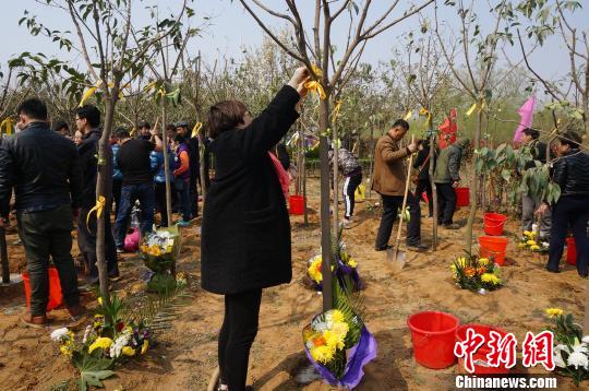 郑州公益性树葬举行九年800余家庭以树代墓葬亲人