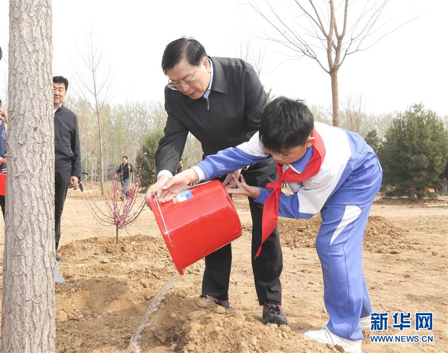 这是张德江同少先队员一起给刚栽下的树苗浇水。 新华社记者 丁林 摄