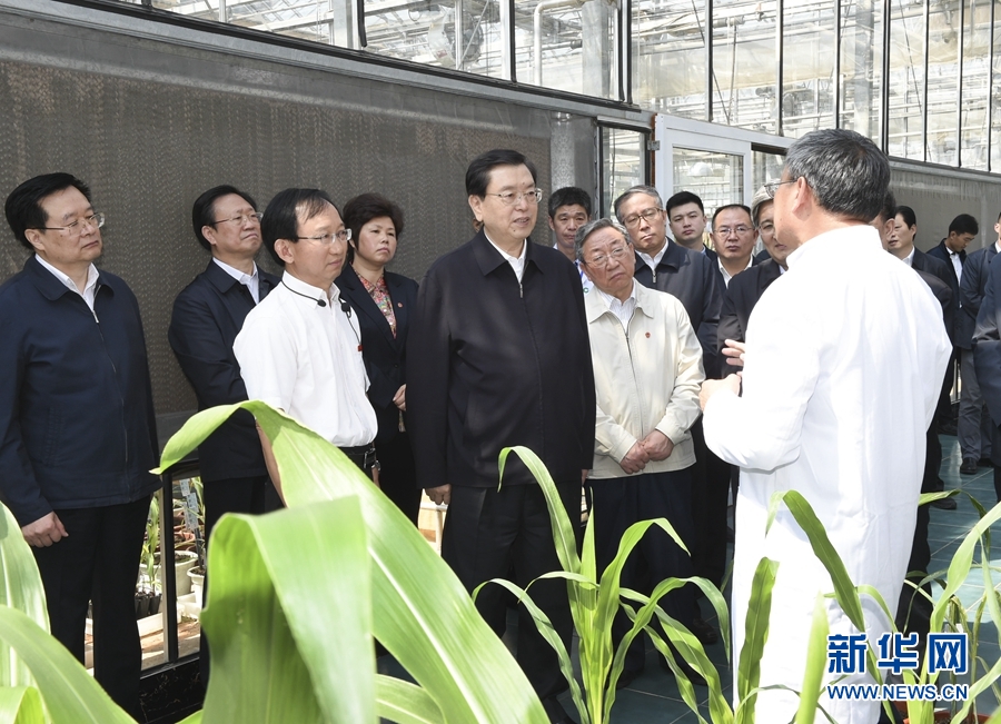 这是4月19日，张德江在中国种子生命科学技术中心，了解农作物生物技术领域和主要农作物常规育种领域的食品安全源头防控情况。新华社记者 谢环驰 摄