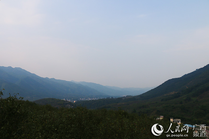 大仁村现代农业核心示范区鸟瞰山下村落