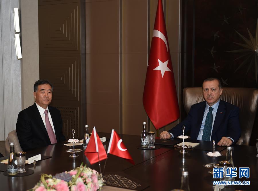 （XHDW）土耳其总统埃尔多安会见汪洋