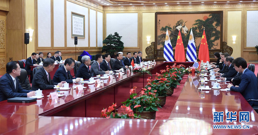 1月9日，全国人大常委会委员长张德江在北京人民大会堂与乌拉圭众议长阿马里利亚举行会谈。 