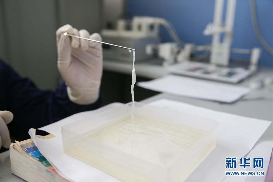 （科技）（3）中科院上海硅酸盐研究所研制出新型无机纳米绳及柔性耐火织物