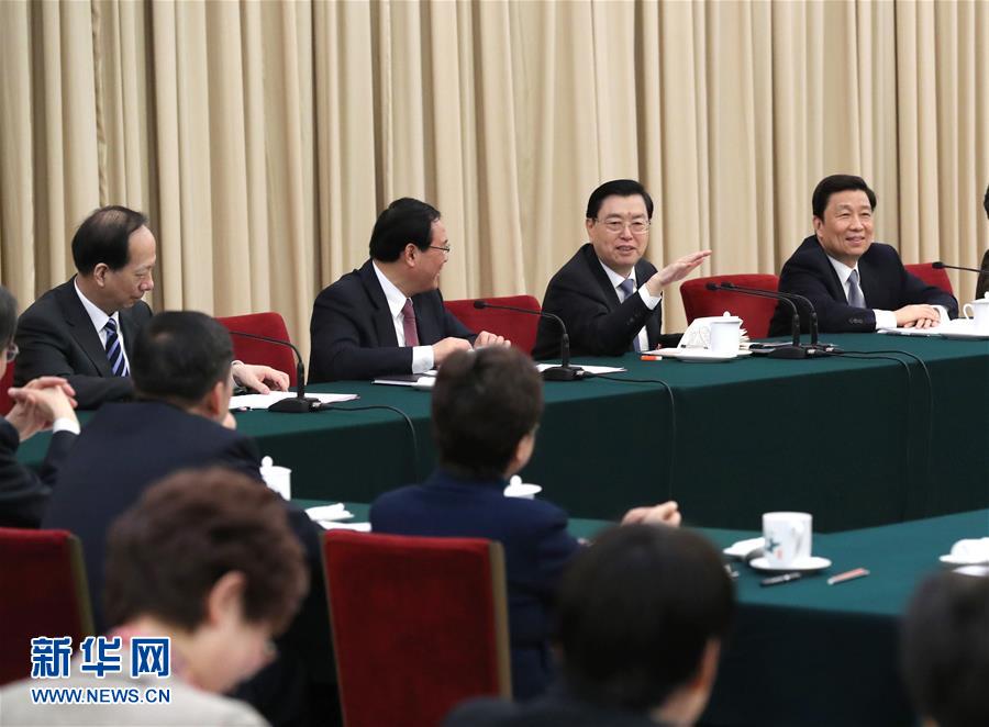 （两会）张德江参加江苏代表团审议