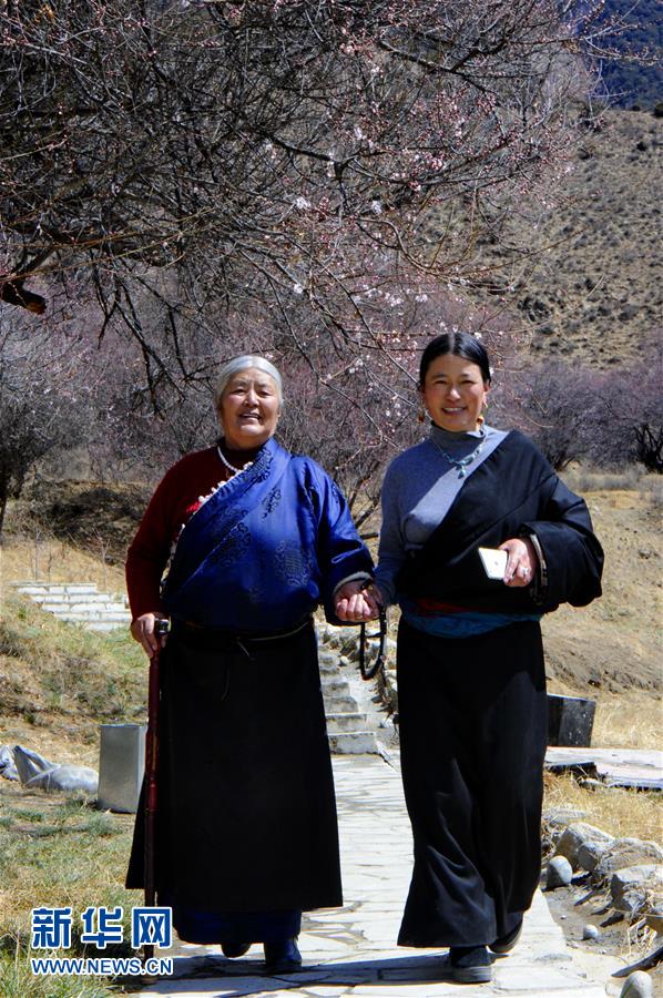 （环境）（3）西藏林芝：“桃花村”里春来早 