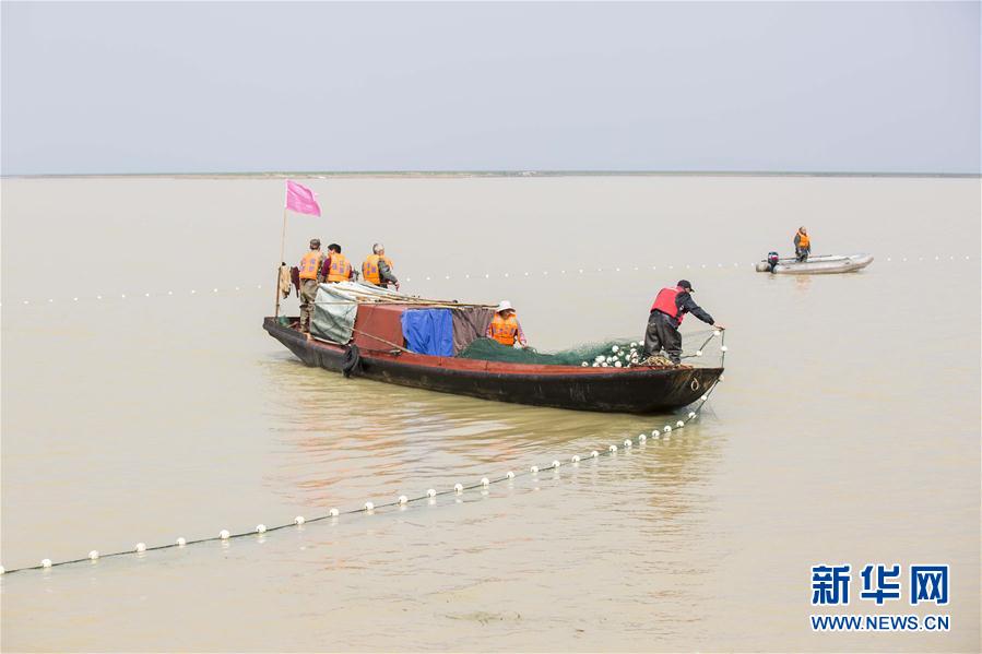 #（环境）（2）我国再次启动长江江豚迁地保护计划