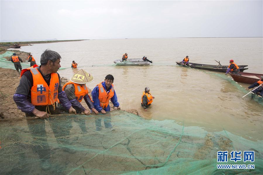 #（环境）（3）我国再次启动长江江豚迁地保护计划