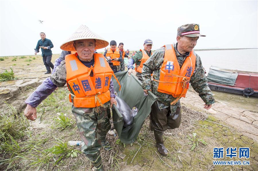 #（环境）（4）我国再次启动长江江豚迁地保护计划