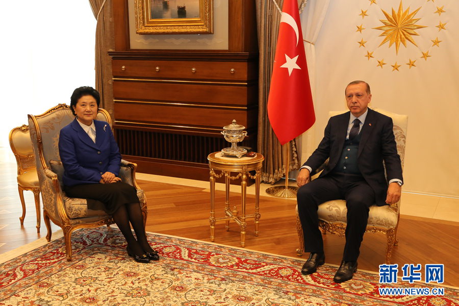 4月18日，土耳其总统埃尔多安在安卡拉会见中国国务院副总理刘延东。 新华社记者 秦彦洋摄