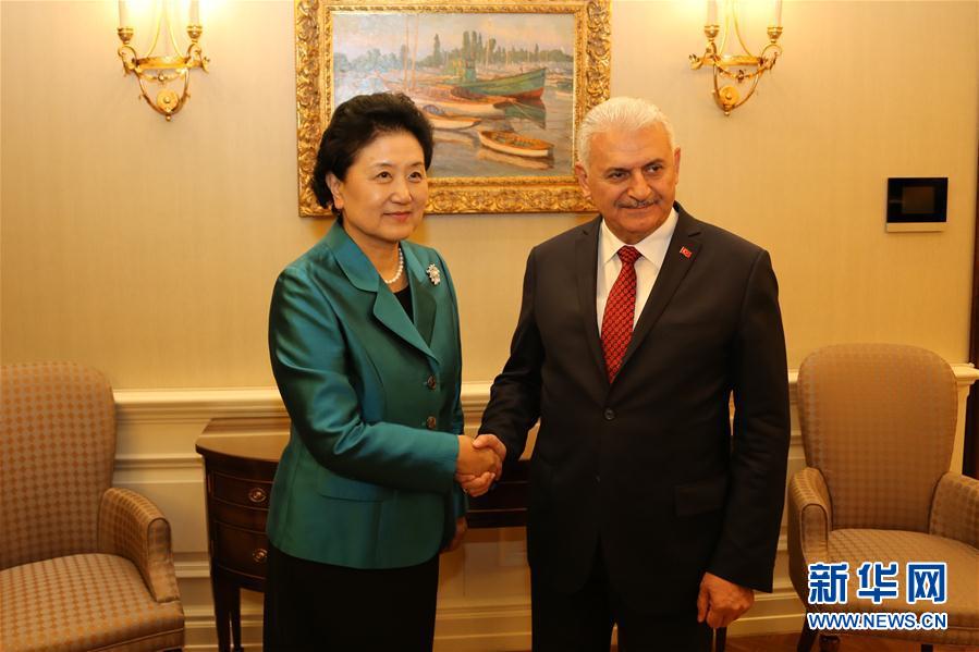 4月18日，土耳其总理耶尔德勒姆在安卡拉会见中国国务院副总理刘延东。 新华社记者 秦彦洋摄