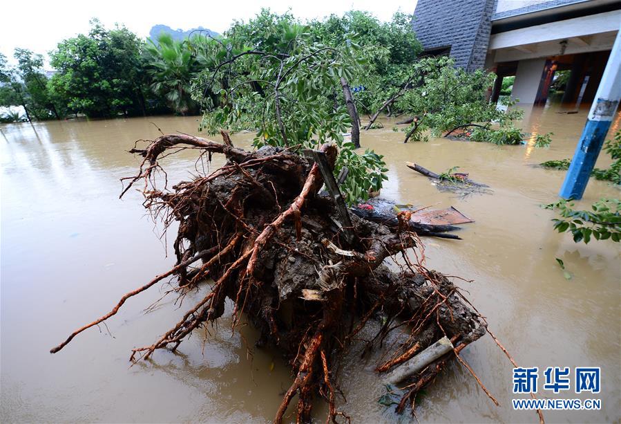 #（环境）（7）广西柳江迎来今年首个超警戒水位洪峰