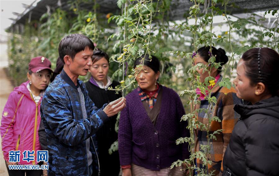 （砥砺奋进的五年·绿色发展　绿色生活·图文互动）（9）风沙地里“长出”绿色家园——西藏山南隆子县53年造林治沙记