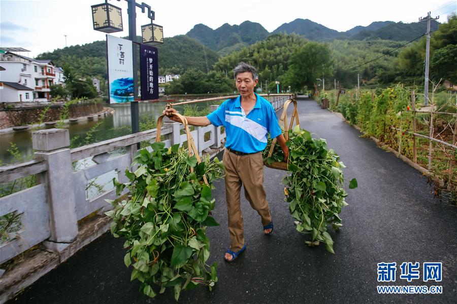 （砥砺奋进的五年·绿色发展 绿色生活）（10）从穷山沟到“绿富美”——浙江下姜村的绿色转变