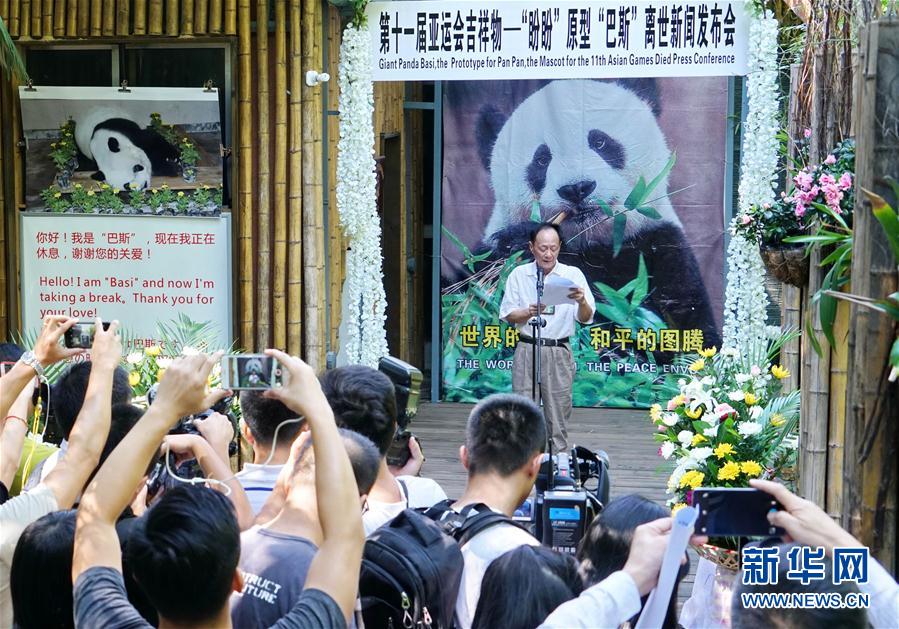 （社会）（1）37岁的长寿大熊猫“巴斯”在福州离世