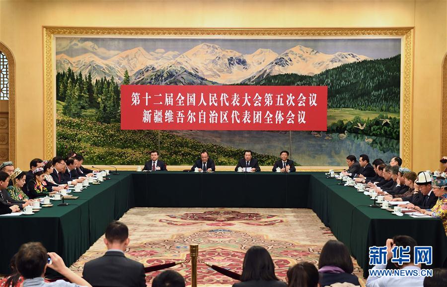 新疆代表团全体会议向媒体开放