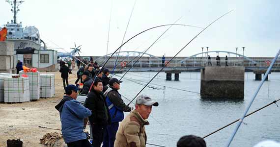 青岛市民钓鱼不用饵 一天能钓40斤