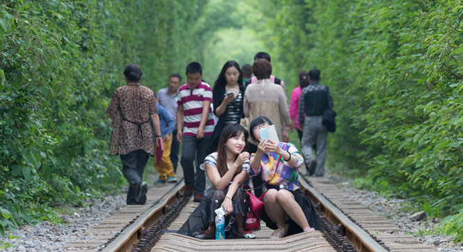 南京：“爱情隧道”再次枝繁叶茂 游客慕名前往