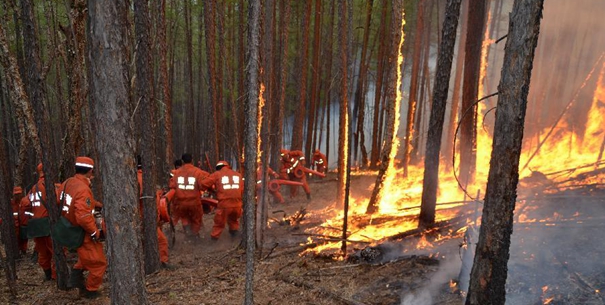 大兴安岭林区发生森林火灾