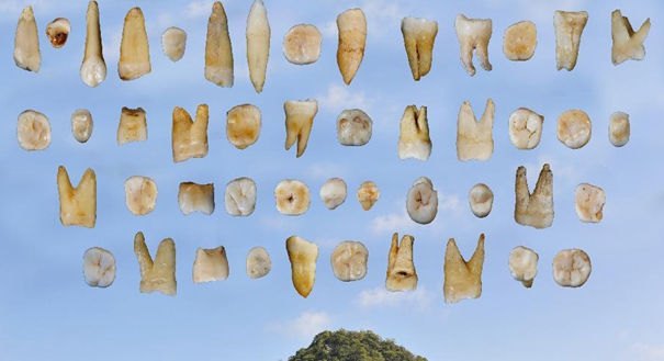 我国科学家发现东亚最早的现代人化石