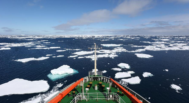 “雪龙”号顺利穿越西风带抵达南极浮冰区