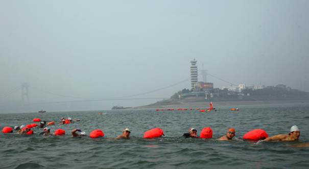 湖北宜昌500余名冬泳健儿横渡长江
