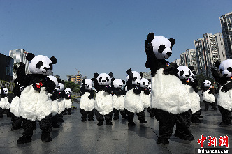 “熊猫版”《江南Style》亮相成都街头