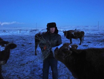 内蒙古遭遇严重雪灾 降雪量突破冬季历史极值