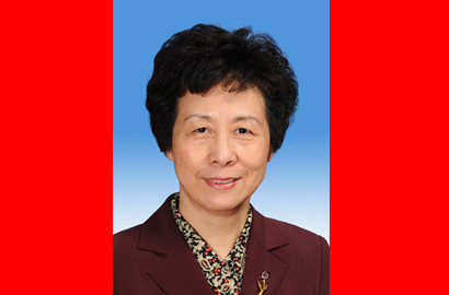 第十二届全国人民代表大会常务委员会副委员长严隽琪